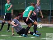 gretesch-1-4-raspoii--7-