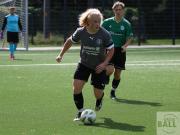 gretesch-1-4-raspoii--72-