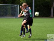 gretesch-1-4-raspoii--73-