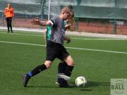 gretesch-1-4-raspoii--74-