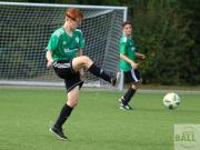 gretesch-1-4-raspoii--75-