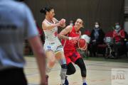 basketball-dbbl-girolive-panthers-herner-tc-33