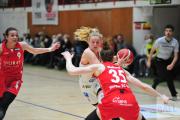 basketball-dbbl-girolive-panthers-herner-tc-69