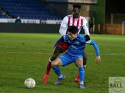 regionalliga-sportfreunde-lotte-fortuna-koln-40