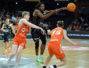 2024 12 28rastavechtaiivskirchheimknightsimageswatermark