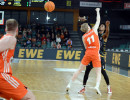 2024 12 28rastavechtaiivskirchheimknightsimageswatermark