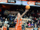 2024 12 28rastavechtaiivskirchheimknightsimageswatermark