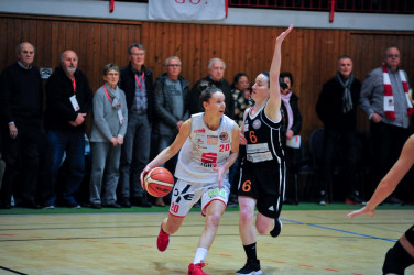 Basketball | GiroLive Panthers vs. Bergische Löwen