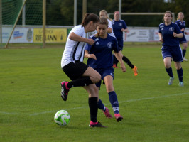 bohmteii 1 5 greteschiii  