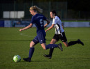 bohmteii 1 5 greteschiii  