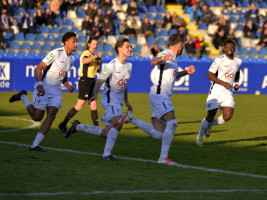 sfl 2 1 tuerk  
