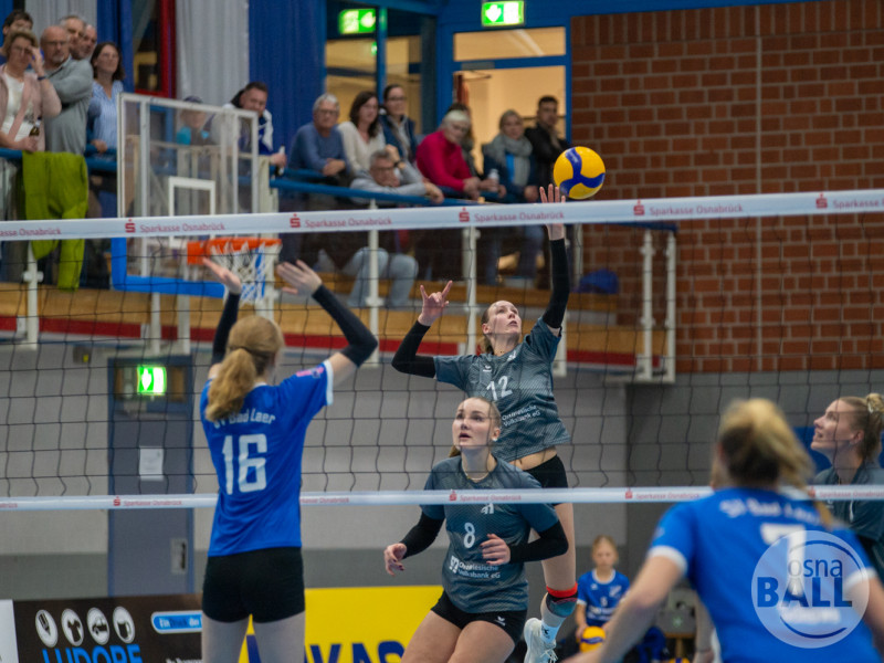 volleyball sv bad laer emder volleys  