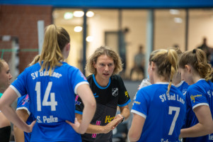 volleyball sv bad laer emder volleys  