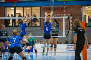 volleyball sv bad laer emder volleys  