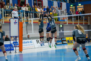 volleyball sv bad laer emder volleys  