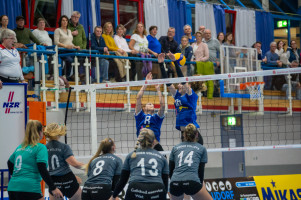 volleyball sv bad laer emder volleys  