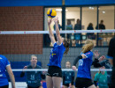 volleyball sv bad laer emder volleys  