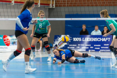 Volleyball | Bad Laer siegt 3:1 gegen Braunschweig 