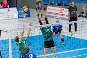 volleyball sv bad laer braunschweig  