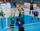 volleyball sv bad laer braunschweig  