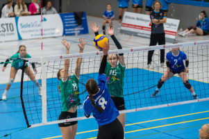 volleyball sv bad laer braunschweig  