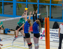volleyball sv bad laer braunschweig  