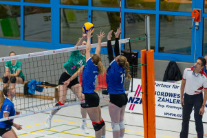 volleyball sv bad laer braunschweig  
