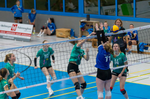 volleyball sv bad laer braunschweig  