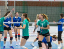 volleyball sv bad laer braunschweig  