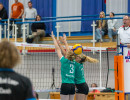 volleyball sv bad laer braunschweig  