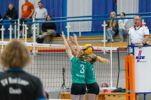 volleyball sv bad laer braunschweig  