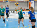 volleyball sv bad laer braunschweig  