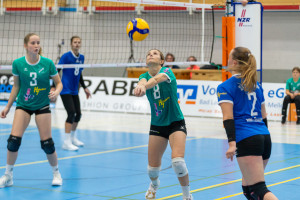 volleyball sv bad laer braunschweig  