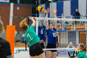 volleyball sv bad laer braunschweig  