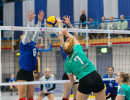 volleyball sv bad laer braunschweig  