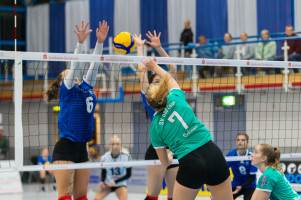 volleyball sv bad laer braunschweig  