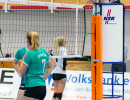 volleyball sv bad laer braunschweig  