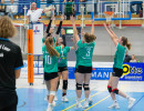 volleyball sv bad laer braunschweig  