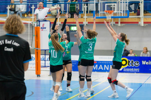 volleyball sv bad laer braunschweig  