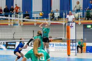 volleyball sv bad laer braunschweig  