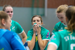 volleyball sv bad laer braunschweig  