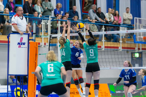 volleyball sv bad laer braunschweig  