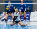 volleyball sv bad laer braunschweig  
