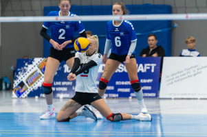 volleyball sv bad laer braunschweig  