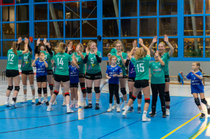 volleyball sv bad laer braunschweig  