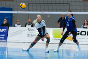 volleyball sv bad laer braunschweig  