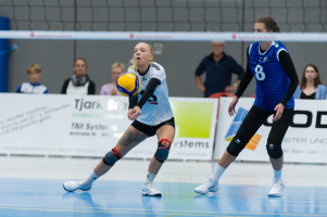 volleyball sv bad laer braunschweig  