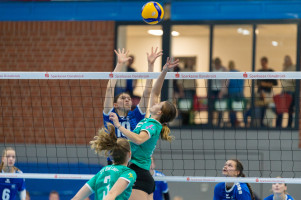 volleyball sv bad laer braunschweig  