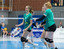 volleyball sv bad laer braunschweig  