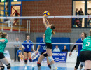 volleyball sv bad laer braunschweig  